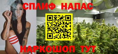 амф Обь