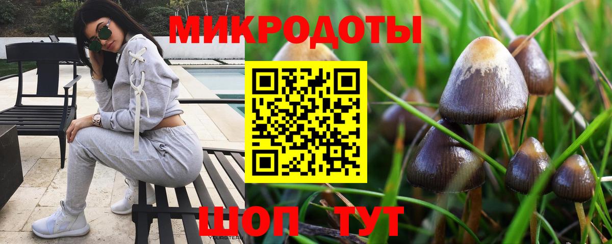 Галлюциногенные грибы Psilocybine cubensis Сертолово