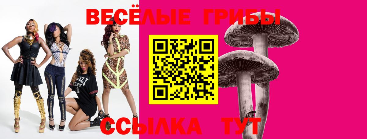 Сертолово  Псилоцибиновые грибы Magic Shrooms  Вход с VPN 