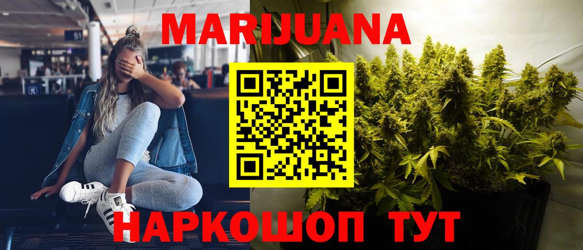 Бошки марихуана MAZAR  Вход с VPN  Сертолово  Шишки марихуана конопля 